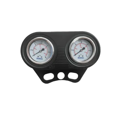Manometru dublu pentru filtru profesional piscina - 3 bar 00729